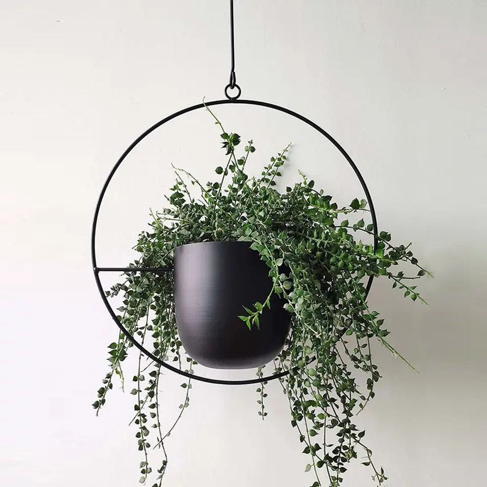 Luxury Hanging Planter