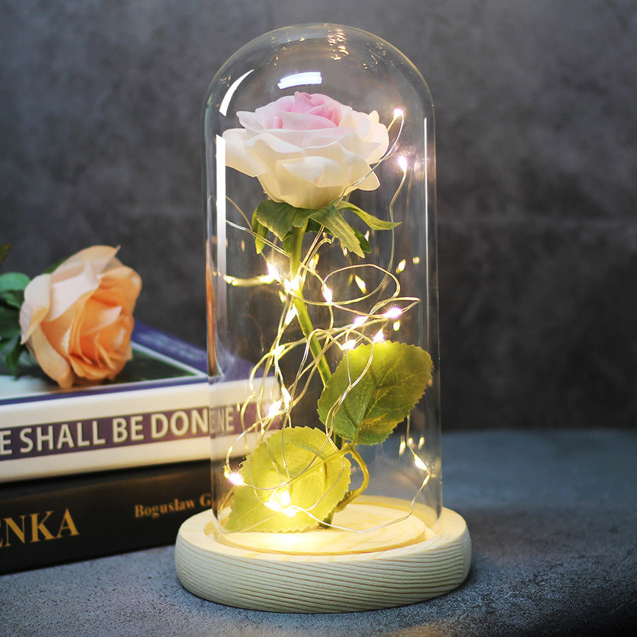 Enchanted Forever Rose