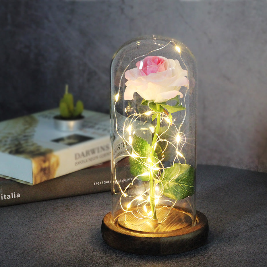 Enchanted Forever Rose