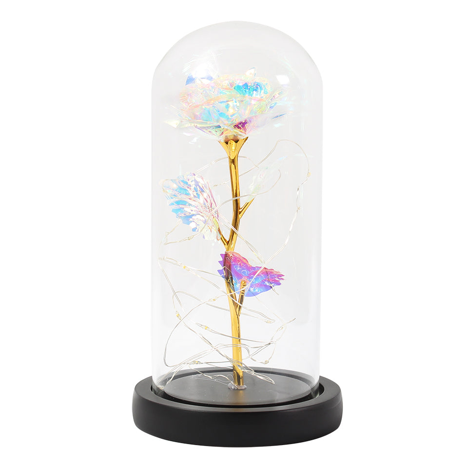 Enchanted Forever Rose