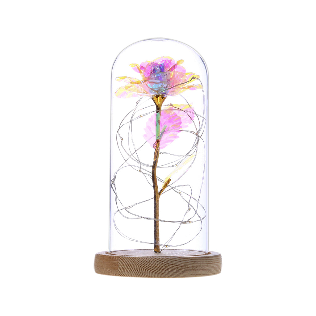 Enchanted Forever Rose
