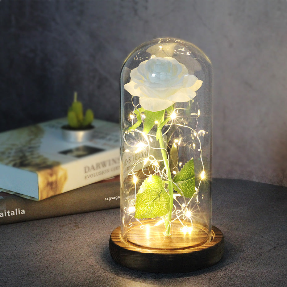 Enchanted Forever Rose